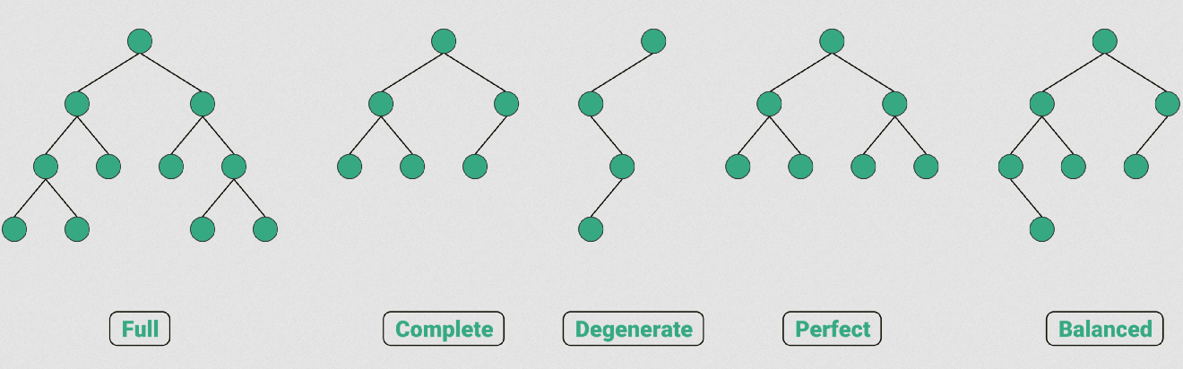 types-of-binary-trees